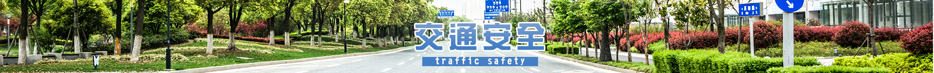 交通安全