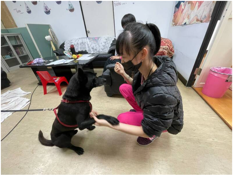 3腳校犬肩負工作犬重任